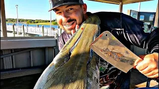 Cleaning and filleting a monster fish