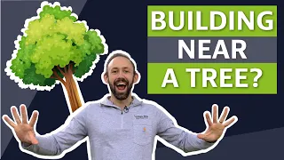 How to Build Near a Tree Without Cutting it Down