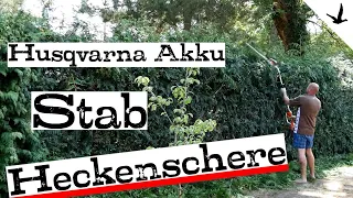 Akku Heckenschere Husqvarna 536LiHE3 alt 520iHE3 neu 🚩ausführliche Vorstellung & Test