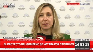 Myriam Bregman: "Llamativamente el capitulo laboral que afectaba a las centrales sindicales se sacó"