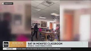 Police help get a baby bat out of a Menifee classroom