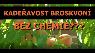 KADEŘAVOST BROSKVONÍ: VYZKOUŠELA JSEM BABSKÉ RADY A OŠETŘILA BEZ CHEMIE. VÝSLEDEK???