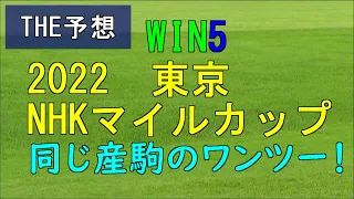 競馬　THE予想　WIN5　2022NHKマイルカップ