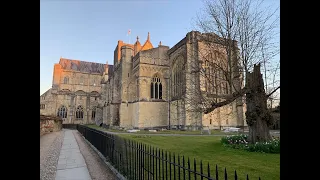 'Polyphony: English Choral Culture' featuring the Winchester Cathedral Choristers