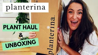 Planterina Plant Haul and Unboxing | You can't believe these plants from Planterina.com!