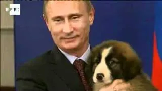 Se busca nombre para la nueva mascota de Putin