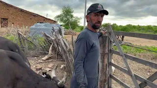 A vida no sertão da Paraíba veja como é a rotina do seu Paulo nordestino