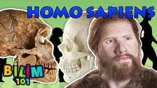 Homo Sapiens nedir? İnsan Irkının Evrimi