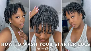 WASHING MY 4 WEEK OLD STARTER LOCS | HOW TO WASH STARTER LOCS | 2022 LOC JOURNEY