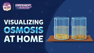 Visualizing Osmosis at Home | NCERT Class 9 Experiment | #ExperimentShorts