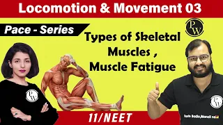 Movement and Locomotion 03 | Types of Skeletal Muscles | Muscle Fatigue | Class 11| NEET