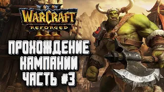 [СТРИМ] ПРОХОЖДЕНИЕ КАМПАНИИ: Вторжение в Калимдор : Warcraft 3 Reforged