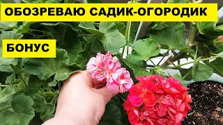 САДИК-ОГОРОДИК..БОНУС