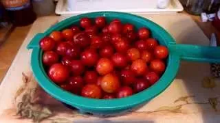 Making Cherry-Plum Jam