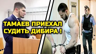 ШОК! Это не конец! Тамаев на суде! Дибира СУДЯТ за драку с ним! Асхаб Тамаев Хабиб Нурмагомедов