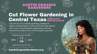 Cut Flower Gardening in Central Texas