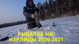 Зимняя рыбалка 2020-2021! Ловля щуки на жерлицы! Выставил жерлицы в ночь! Эксперимент с поводками!