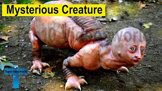 Top 10 Strange & Mysterious Videos Caught On Camera That Can Be Explained [Top10 Videosworld]