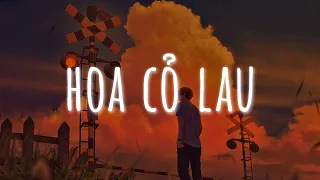 1 HOUR || Hoa Cỏ Lau (Lofi Ver.) - Phong Max || Giữa mênh mang đồi hoa cỏ lau...