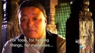 Buddhist Monk Levitation   Full Movie 360p