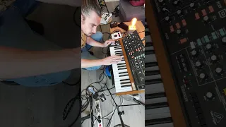 Synth addiction // Crazy Synthesizer Solo Part 2 (Behringer Poly D)