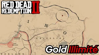 GOLD ILLIMITÉ SUR RED DEAD REDEMPTION 2 !