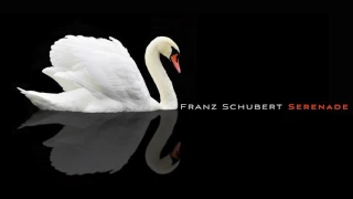 Franz Schubert:  Serenade, D  957 No  4