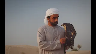 Falconry - A Rich UAE Tradition