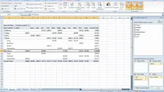 Pivot Tables for Beginners