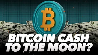 Bitcoin Cash (BCH) is pumping! How high will it go?