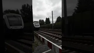 Zug fährt über die Bahnschranke