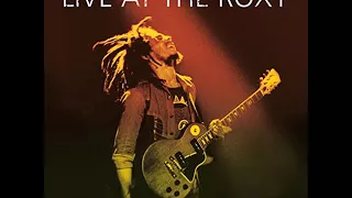 Bob Marley & The Wailers - Medley Get Up Stand Up, No More Trouble, War.
