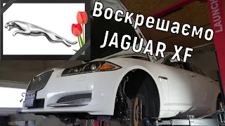 Котик здох, закопати чи викинути? JAGUAR XF Воскрешаємо.