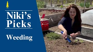 Niki's Picks | Weeding Tools