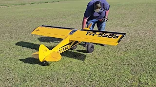 Savage Shock Cub ( Seagull Models)