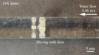 A miniature wireless robot that can effectively move through tubular structures