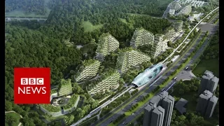 China's first forest city - BBC News