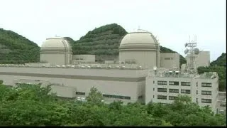 Japan halts production at last nuclear reactor