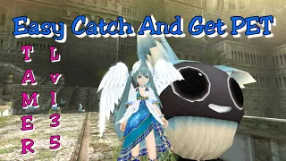 Toram Online - How to Catch and Call PET (NEW TAMER)