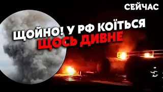 5 хвилин тому! Велика ПОЖЕЖА в РФ. Москва ЗАКРИЛА аеропорти. Підірвали НАФТОБАЗУ.Три РЕГІОНИ у ВОГНІ