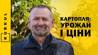 Виростити гарний урожай картоплі без зрошення неможливо — Сергій Рибалко / Куркуль