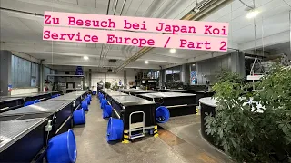 Japan Koi Service Europe. Der zweite Teil der beeindruckenden Anlage mit fantastischen Tosai & Nisai