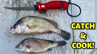 Freshwater Drum CATCH and COOK!!