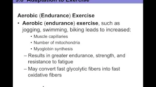Chapter 9.8 Adaptation to Exercise BIO201