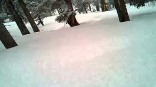 2/17/11 powder on fire break at heavenly