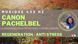 canon pachelbel 432 hertz: 1h : la musique qui active vos 8 acides aminés essentiels - anti stress