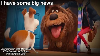 Watch The Secret Life Of Pets For English Learners 6