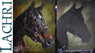 Speed Painting horse - oil over acrylic - Time Lapse Demo by Lachri
