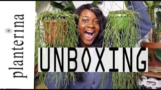 My FIRST PLANTERINA Unboxing !! *VERY HONEST*