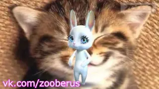 Zoobe зайка - мой кот :)